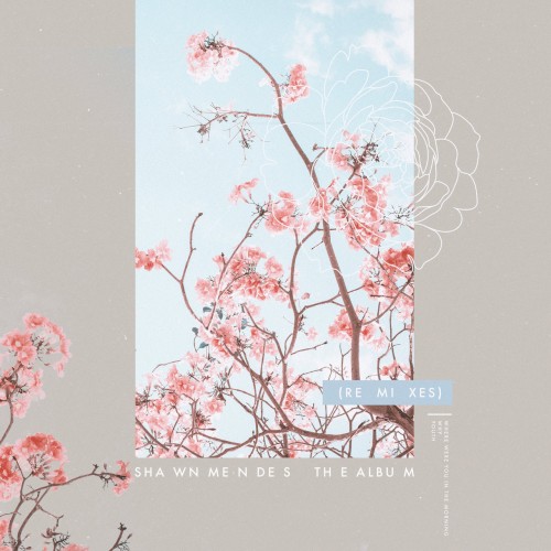 The Album (remixes)