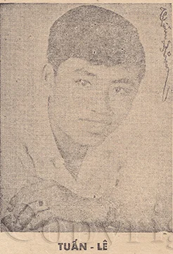 Tuấn Lê